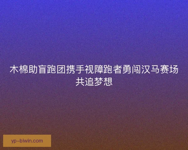 木棉助盲跑团携手视障跑者勇闯汉马赛场共追梦想